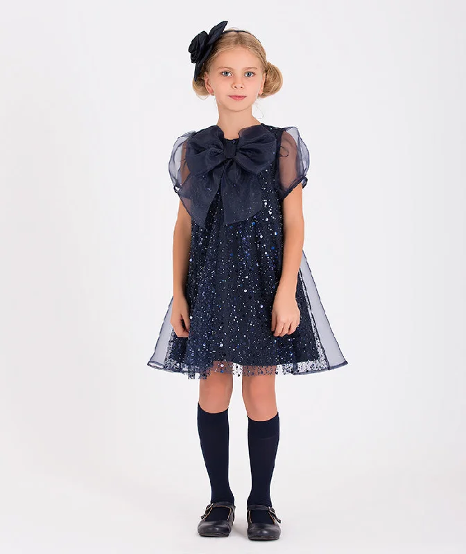 Beaded Organza Dress