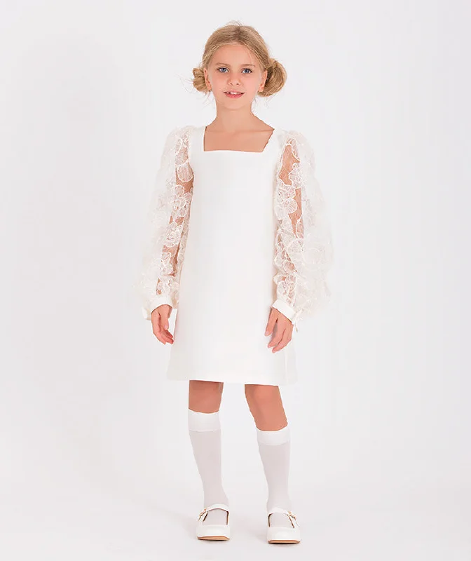 Lace Sleeve Dress